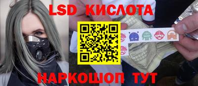 прущие грибы Кунгур