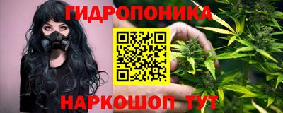 прущие грибы Кунгур