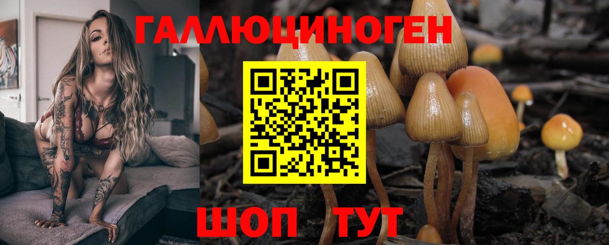 наркота  Галлюциногенные грибы прущие грибы  Заречный  Вход с VPN  Галлюциногенные грибы прущие грибы 